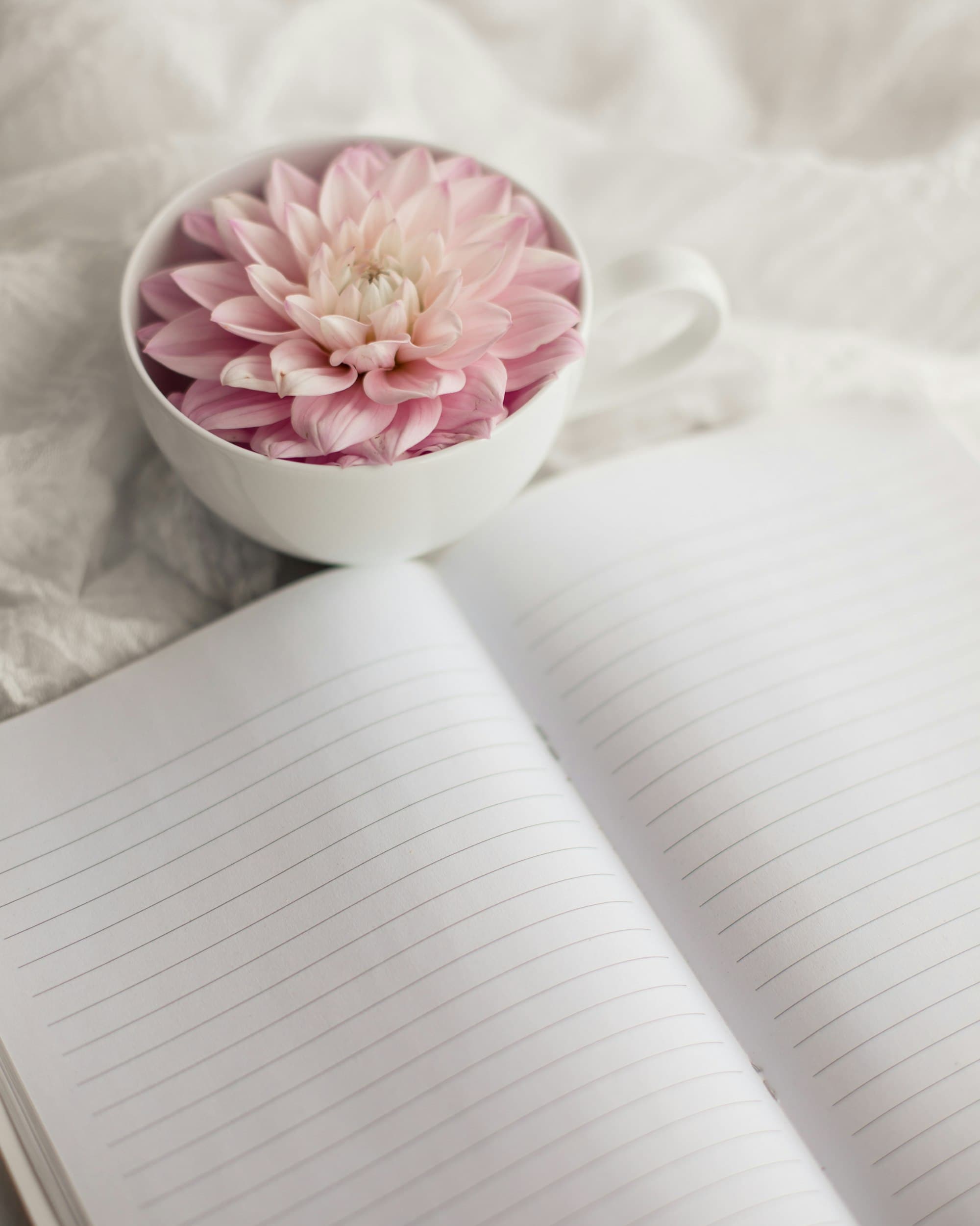 Open lined notebook beside a white cup holding a pink dahlia